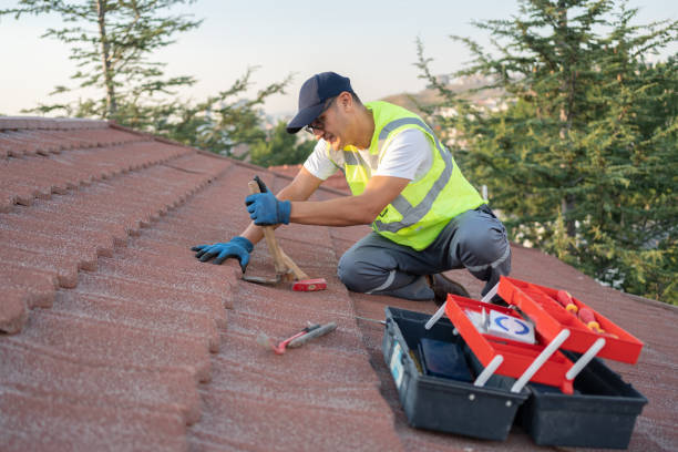 Best Roof Gutter Cleaning  in Odem, TX